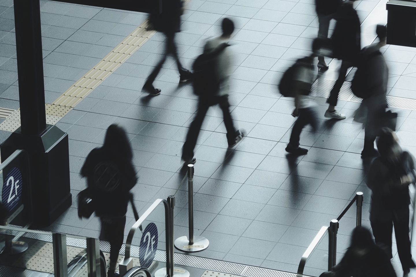 【エッセイ】職業選択の自由、あははん | BadCats Weekly