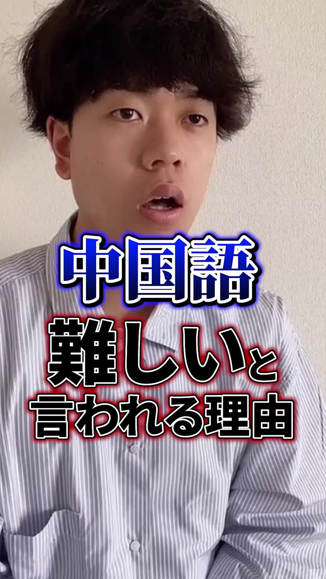 エンタメ系