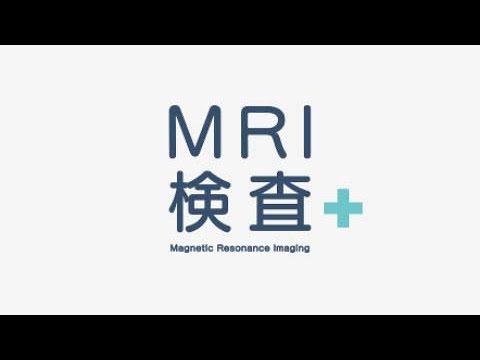 サービス紹介、youtube