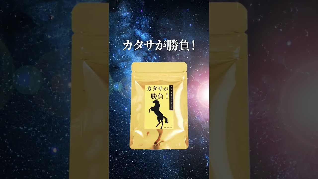 カタサが勝負　商品紹介