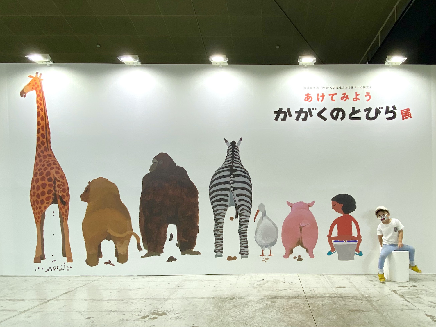 8/29まで！『あけてみよう かがくのとびら展@ひらパー』イベントレポ | あんふぁんWeb