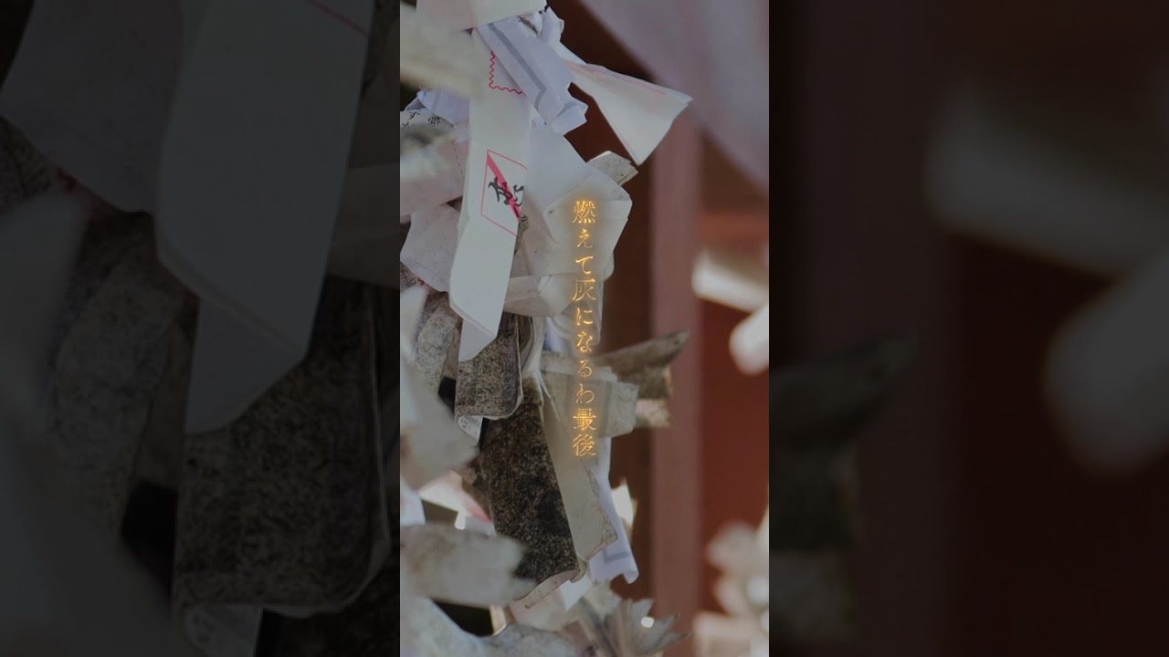 Instagram リール動画_2