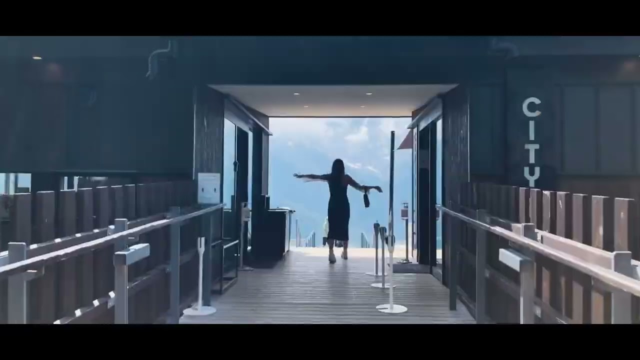 Vlog