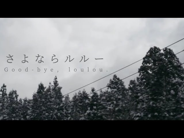 商品撮影、オリジナル曲