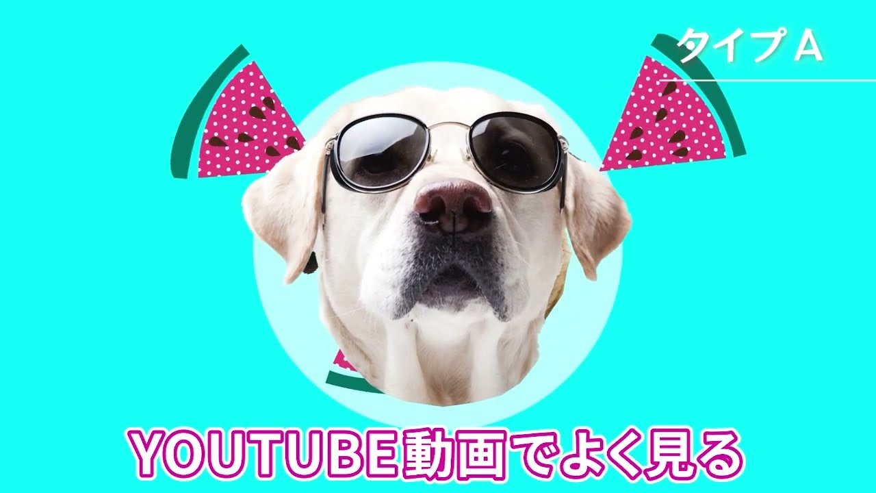 テロップサンプル動画
