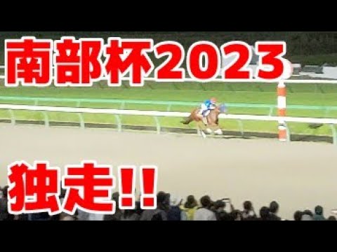 【レモンポップ最強!!】南部杯2023の現地映像