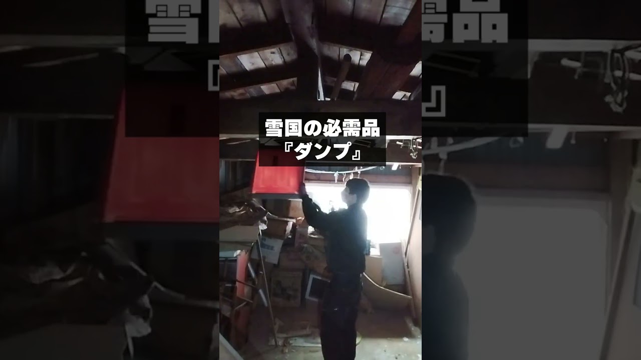 ショート動画｜たった30分！プロが爆速で物置き小屋をお片付け！ #shorts（やさしい便利屋さん）