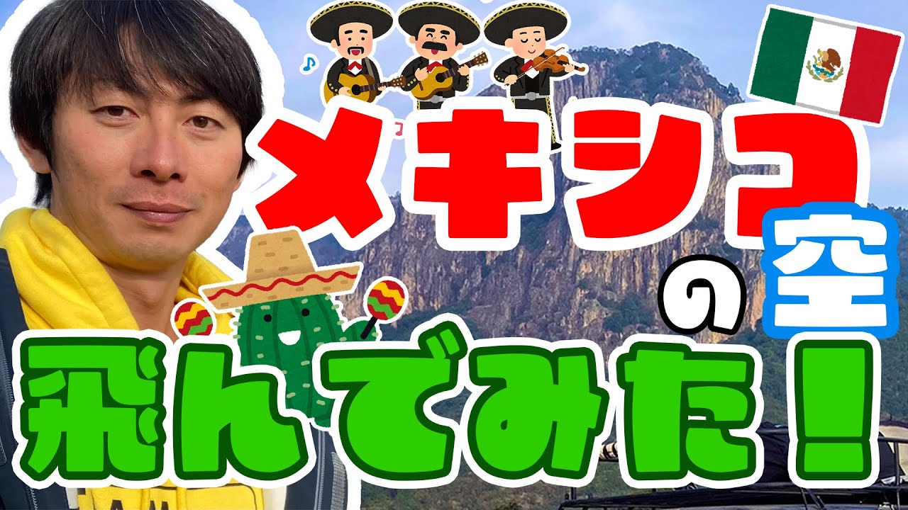 編集者、ゲーム系