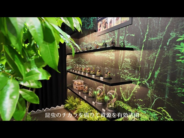 企業紹介(アース環境サービス株式会社)