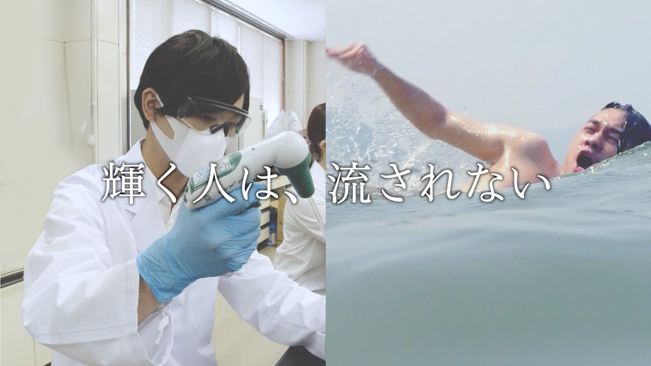 サービス紹介、冊子