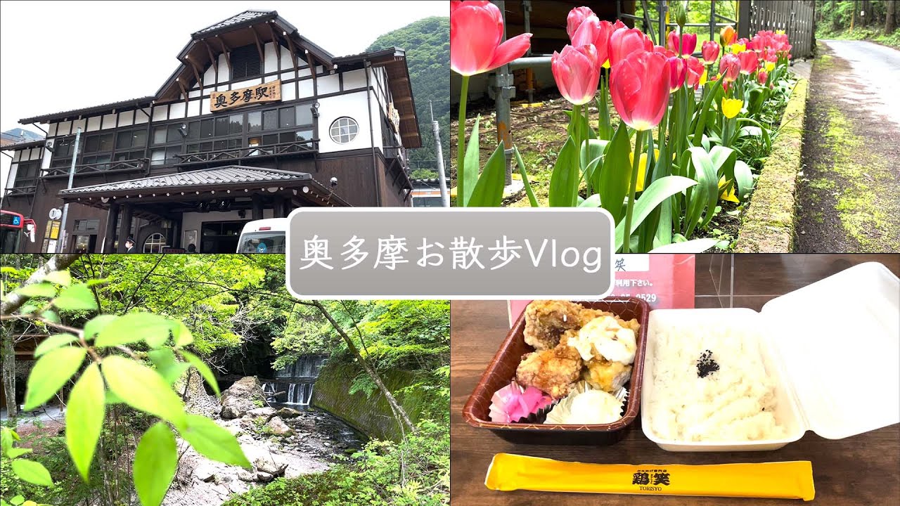 奥多摩お散歩Vlog動画