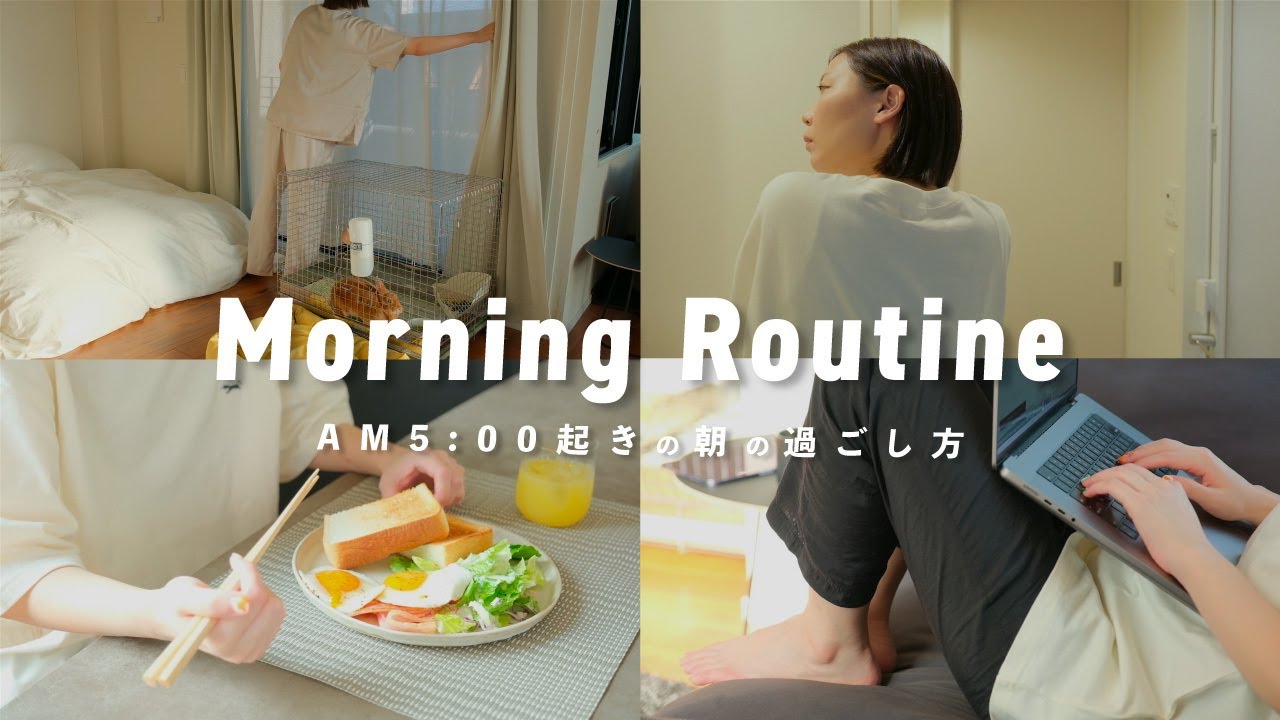 vlog実績動画