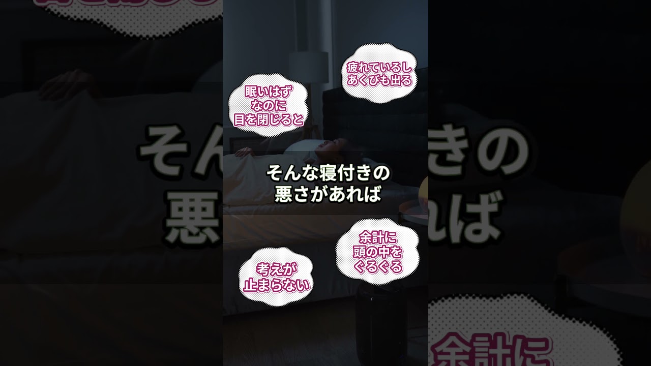 企画、ディレクター
