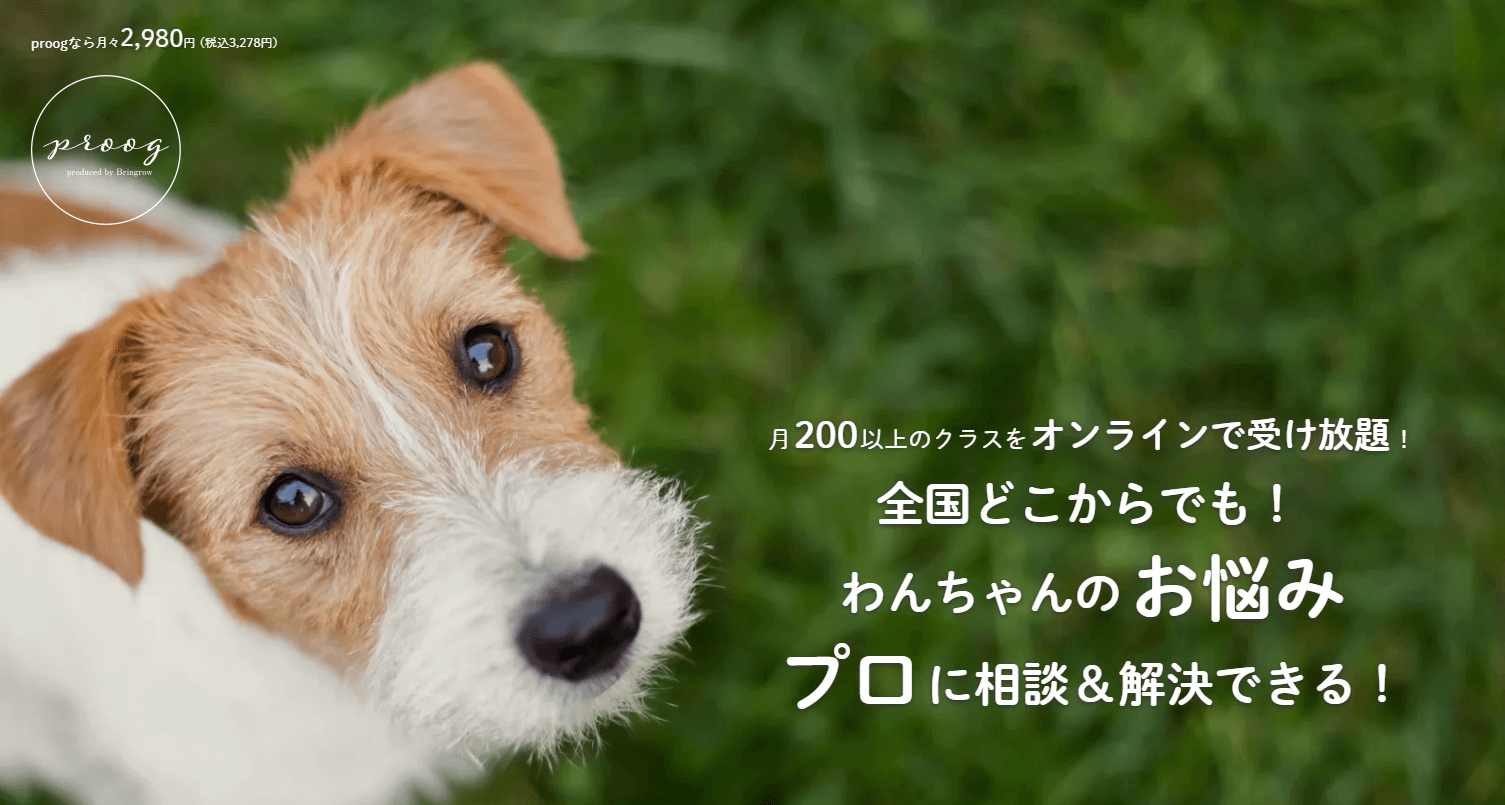 ロゴ、pop