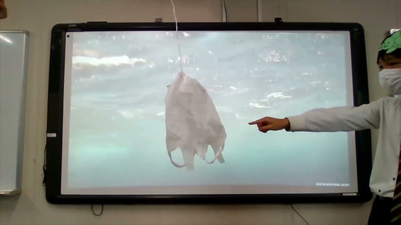 eco friendry project