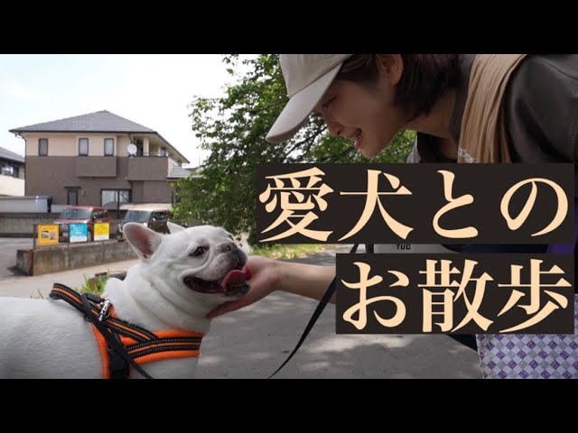 【ペット】愛犬のお散歩動画