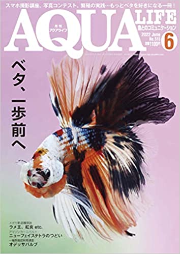 ライター、編集、空撮