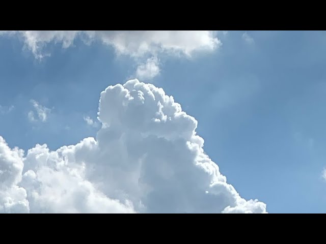その他、初音ミク