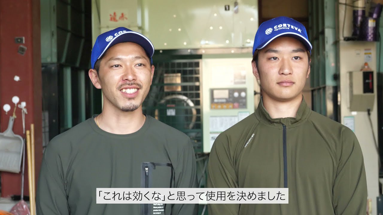 クリエイター、director