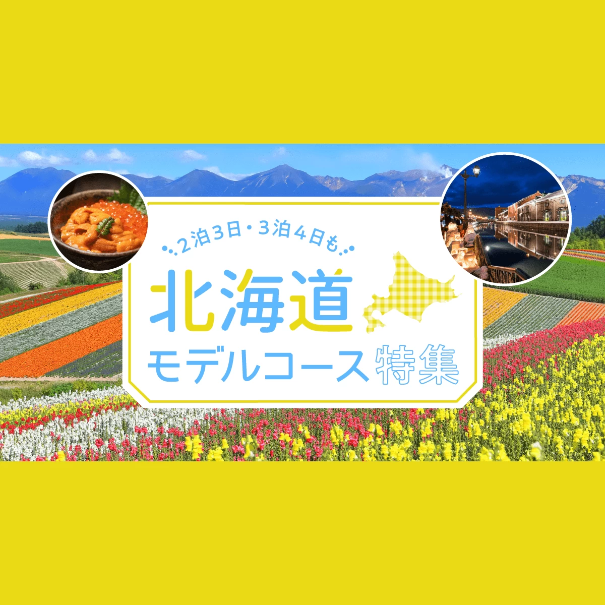 歴史、live2dモデル