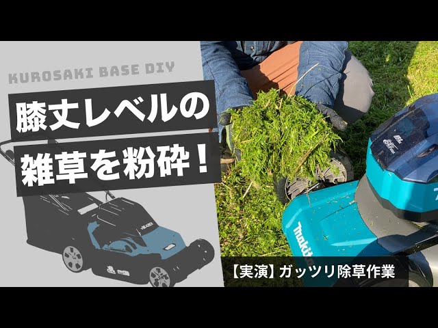 ボイス、ビジネス