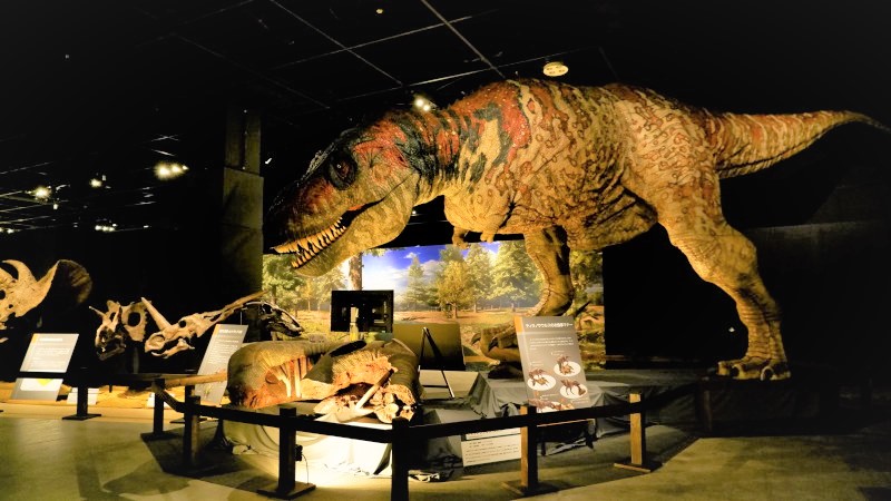 恐竜展2021／展覧会レポート | OBIKAKE（おびかけ） 