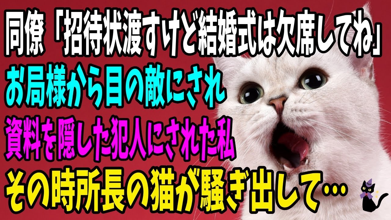 【猫の不思議な話】同僚のお局様「結婚式の招待状は渡すけど欠席してね」目の敵の私は会社の資料やデータを隠した犯人にされてしまう…その時、所長の猫騒ぎ出して…【スカッとする話】【朗読・不思議の国のにゃん】