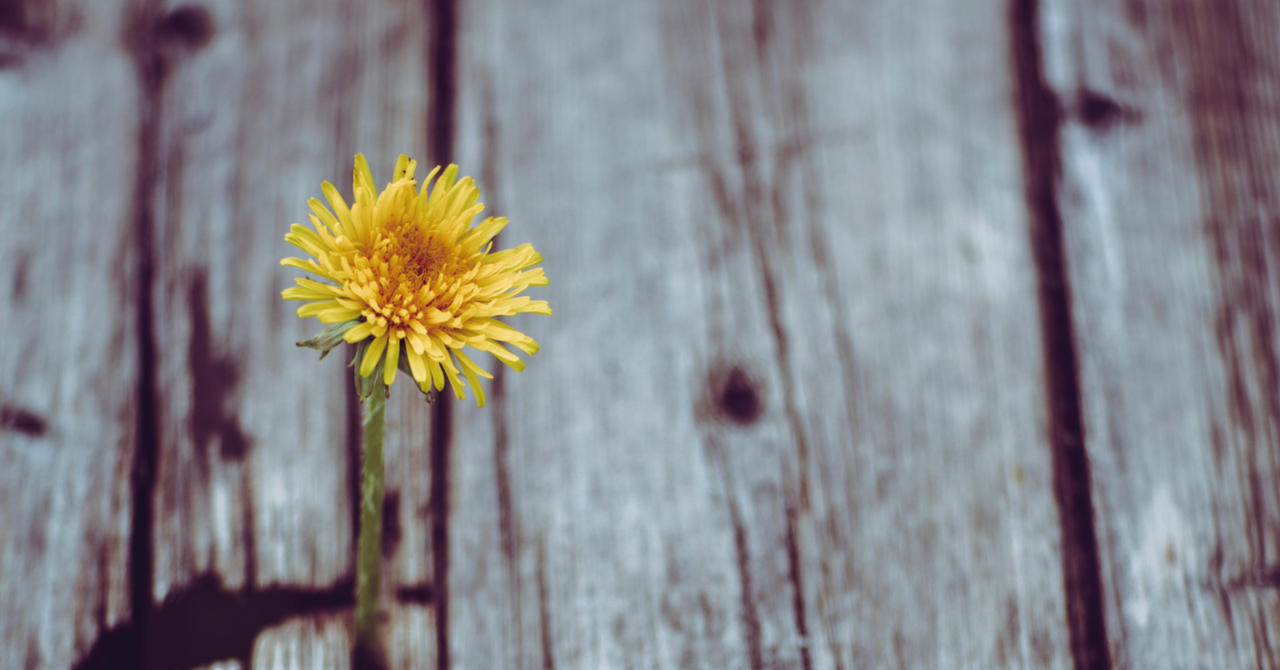 ショート、インタビュー