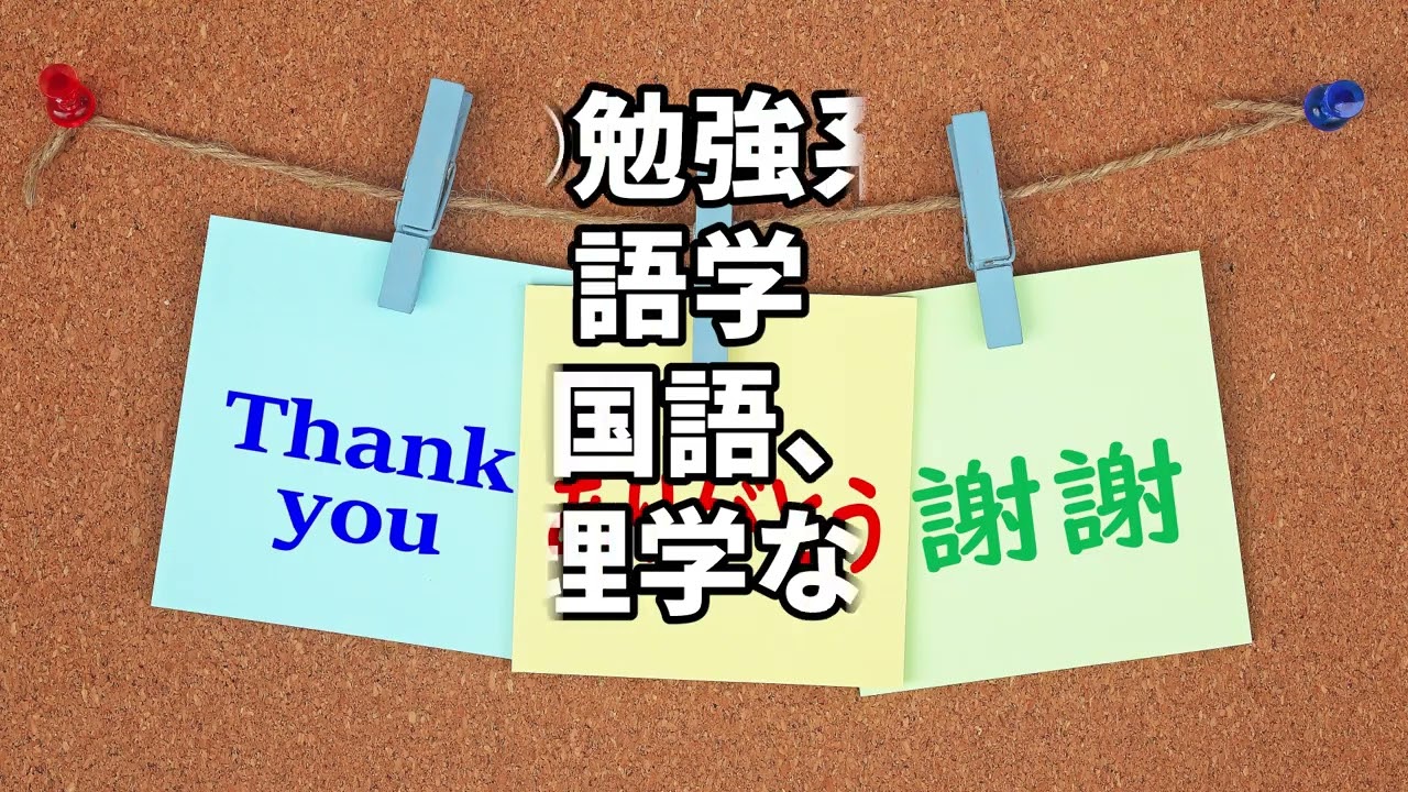 実績動画