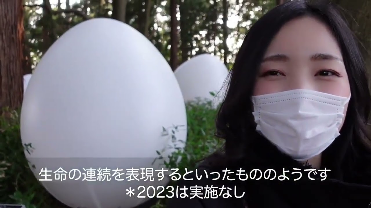 Vlog系動画