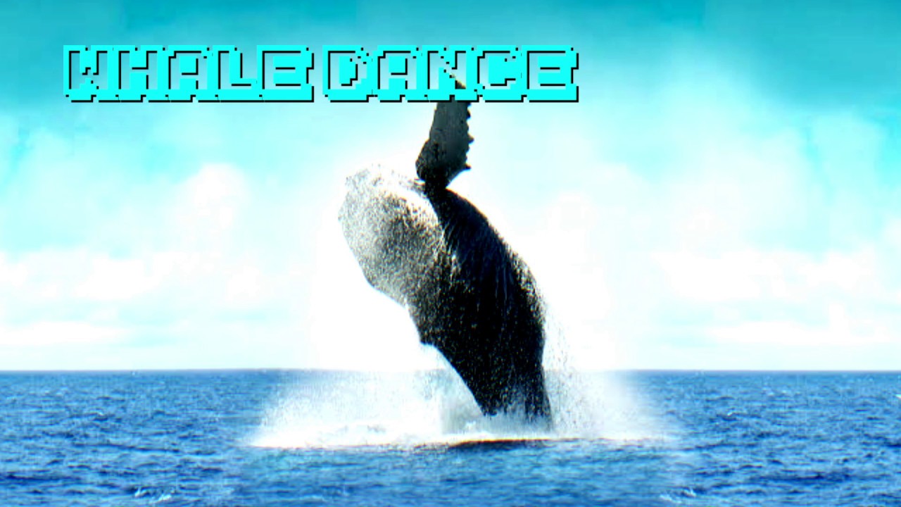 【オリジナル曲】Whale Dance/イワシフレンズ