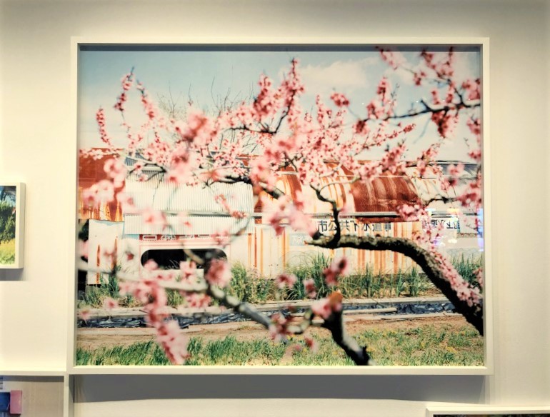 光―呼吸 時をすくう 5 人／展覧会レポート | OBIKAKE（おびかけ）