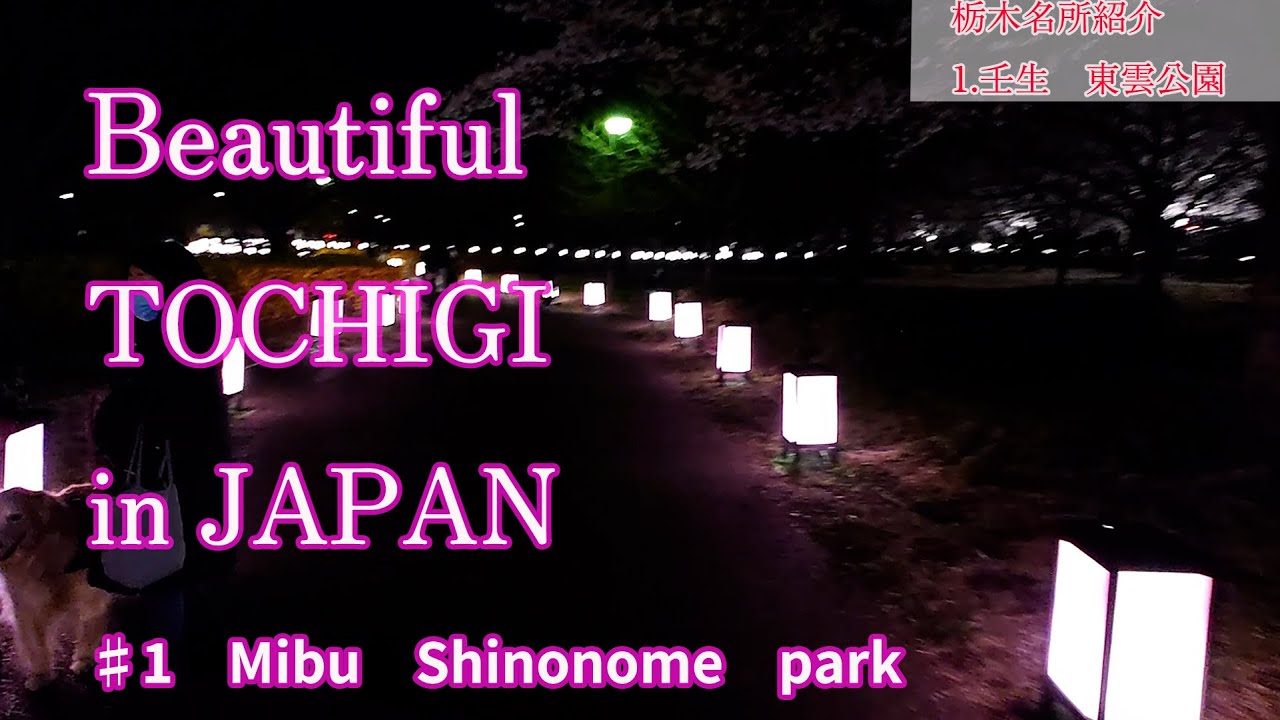 動画編集者、japan