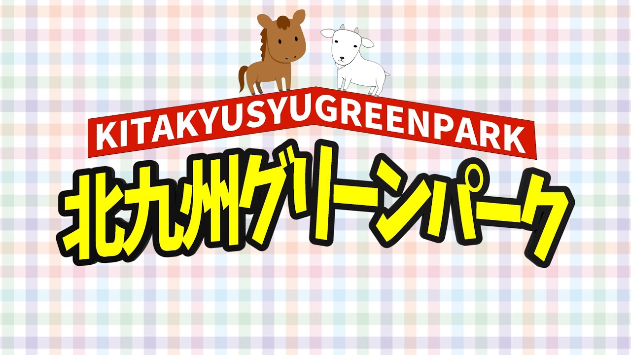 料理、pr動画