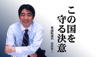 安倍晋三は、ジェンダーフリー教育から「ポル・ポト」を連想するそうである/産経 - 薔薇、または陽だまりの猫