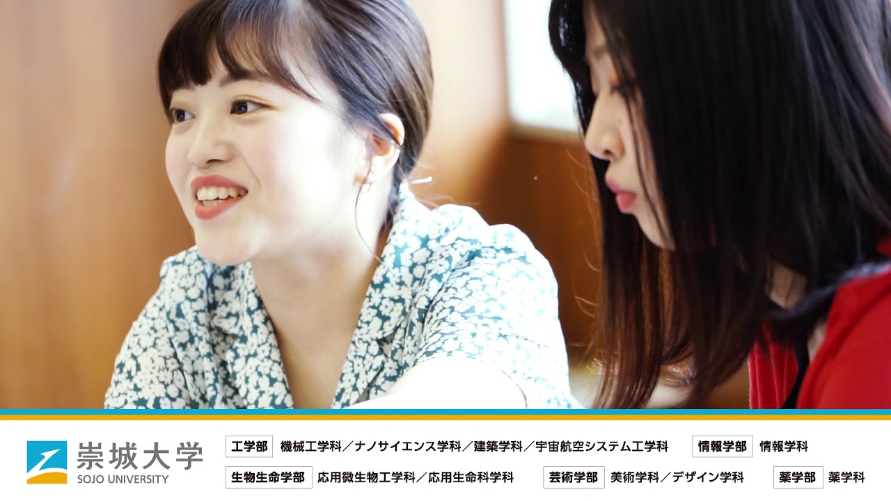 映像、冊子