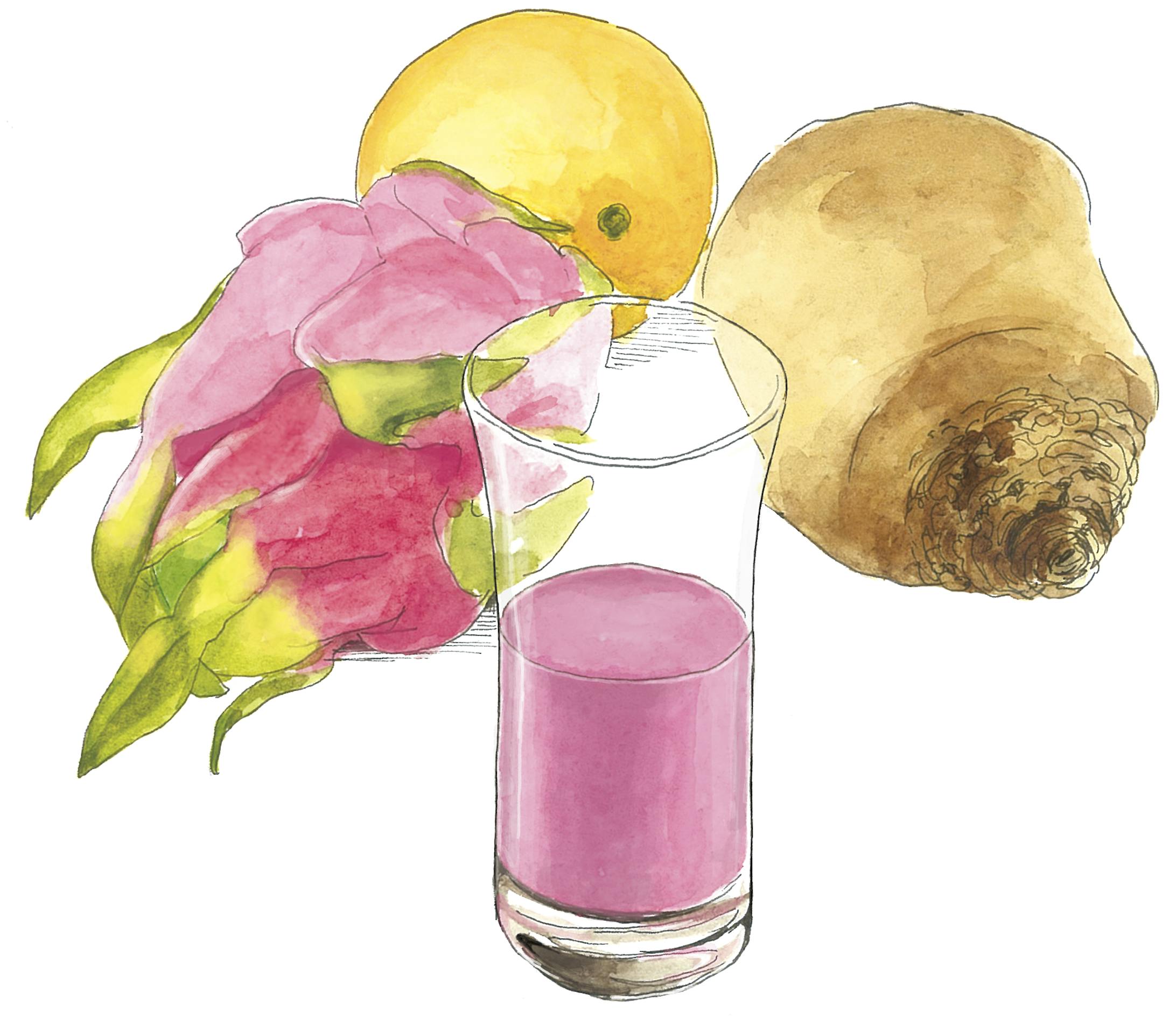 イラスト / フルーツとドリンク-1