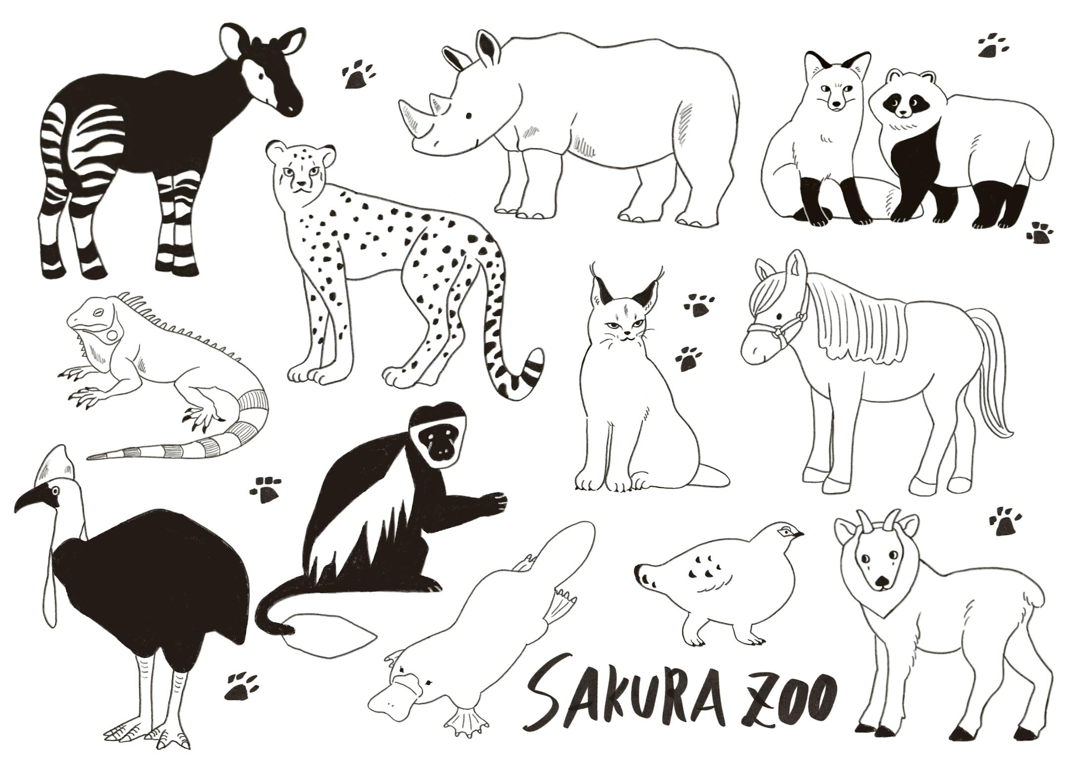 動物線画イラスト 動物線画イラスト