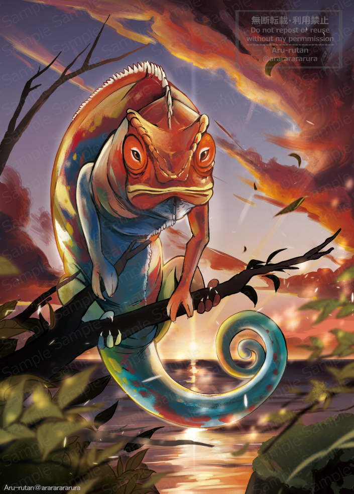 【ACGアニマルカードゲーム】「明日色のカメレオン」-1