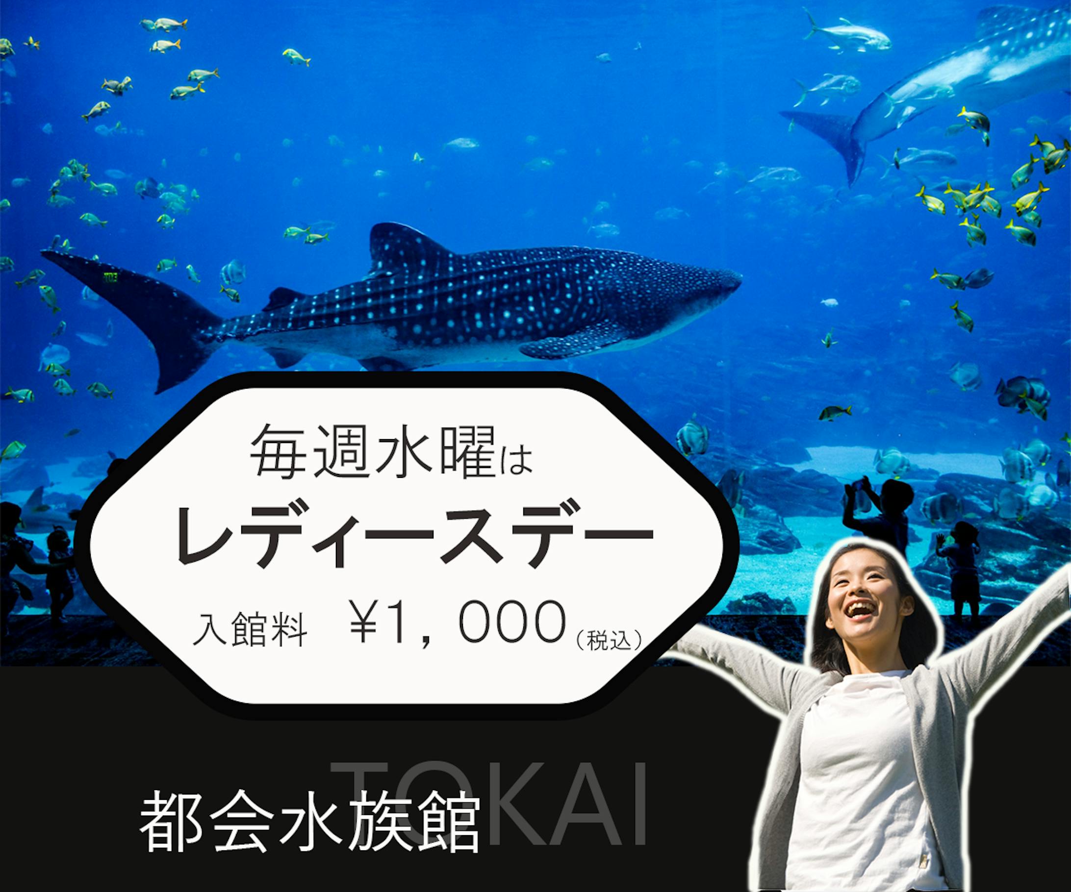 【架空バナー】 水族館-1