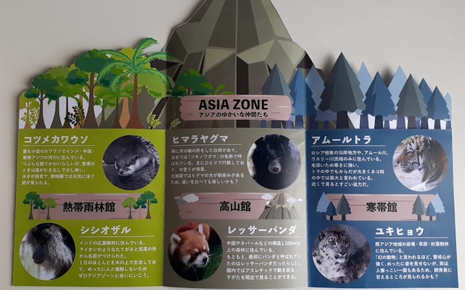 円山動物園 パンフレット