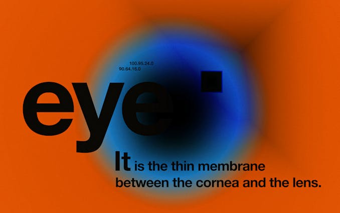 eye