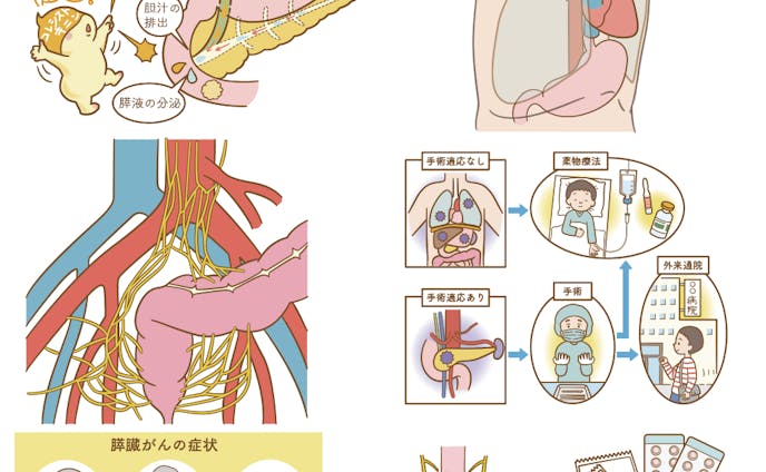 消化器ナーシング4月号特集　消化器解剖　疾患・治療のかんぺきマップ』挿絵