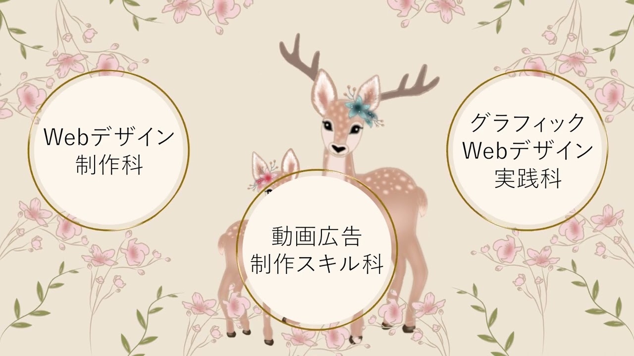 webサイト、after effects