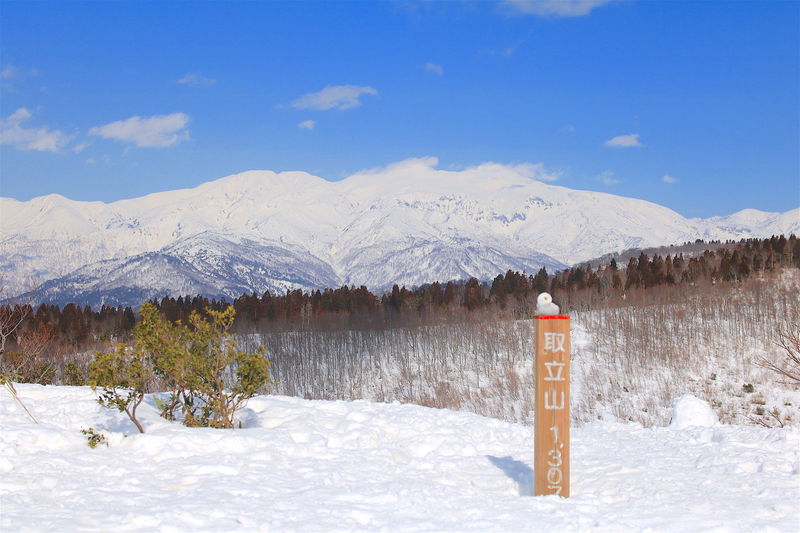 ライバー様、雪山登山