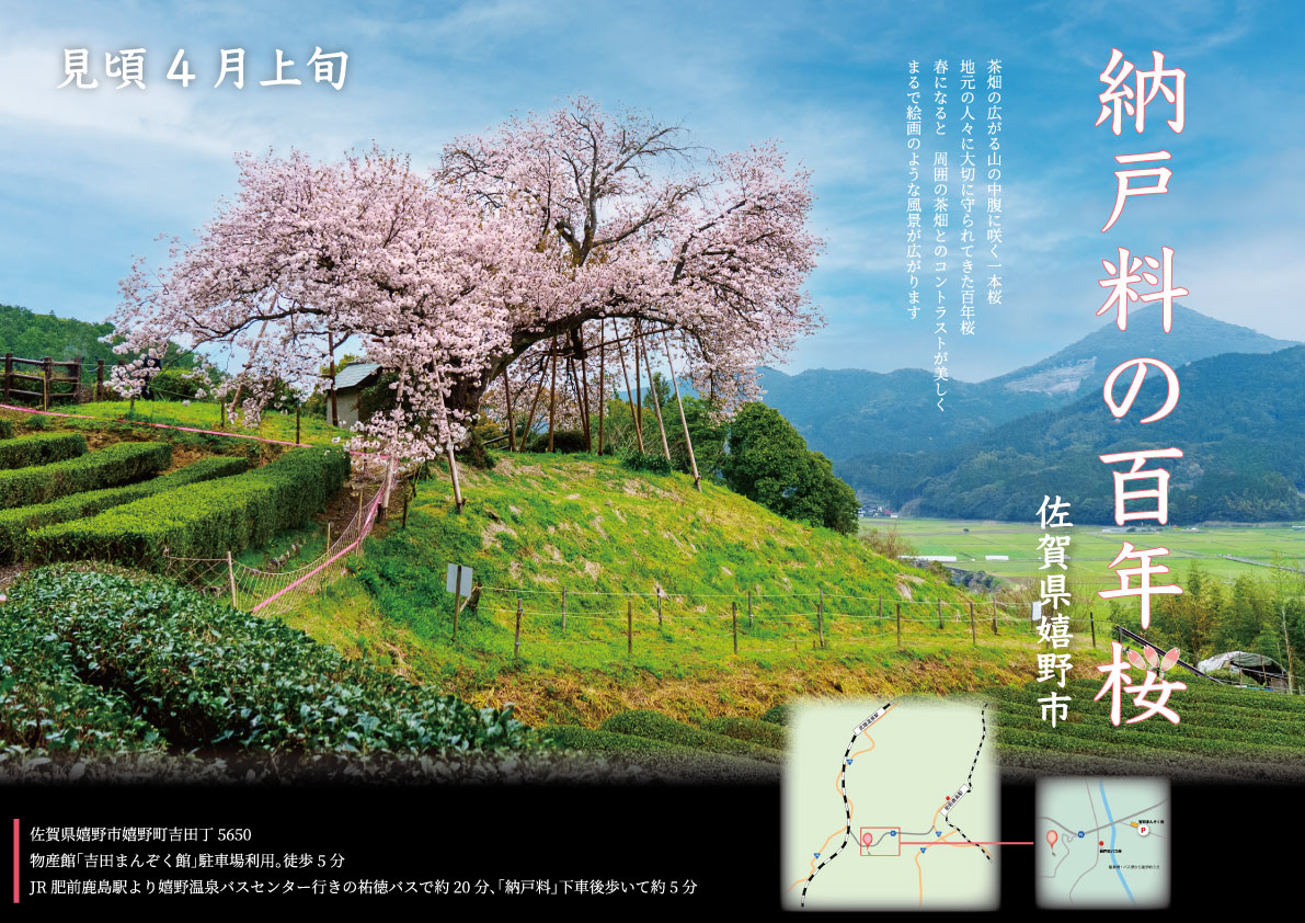 課題／桜ポスター-1