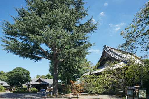 【Google Arts & Culture】上野の森の聖なる深部、徳川将軍御霊廟へ