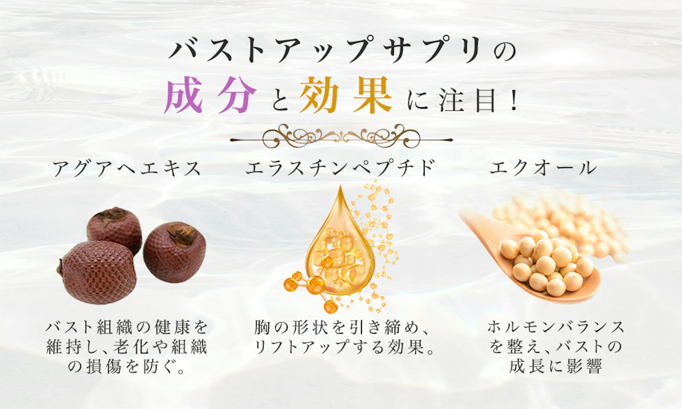 アイキャッチ-1