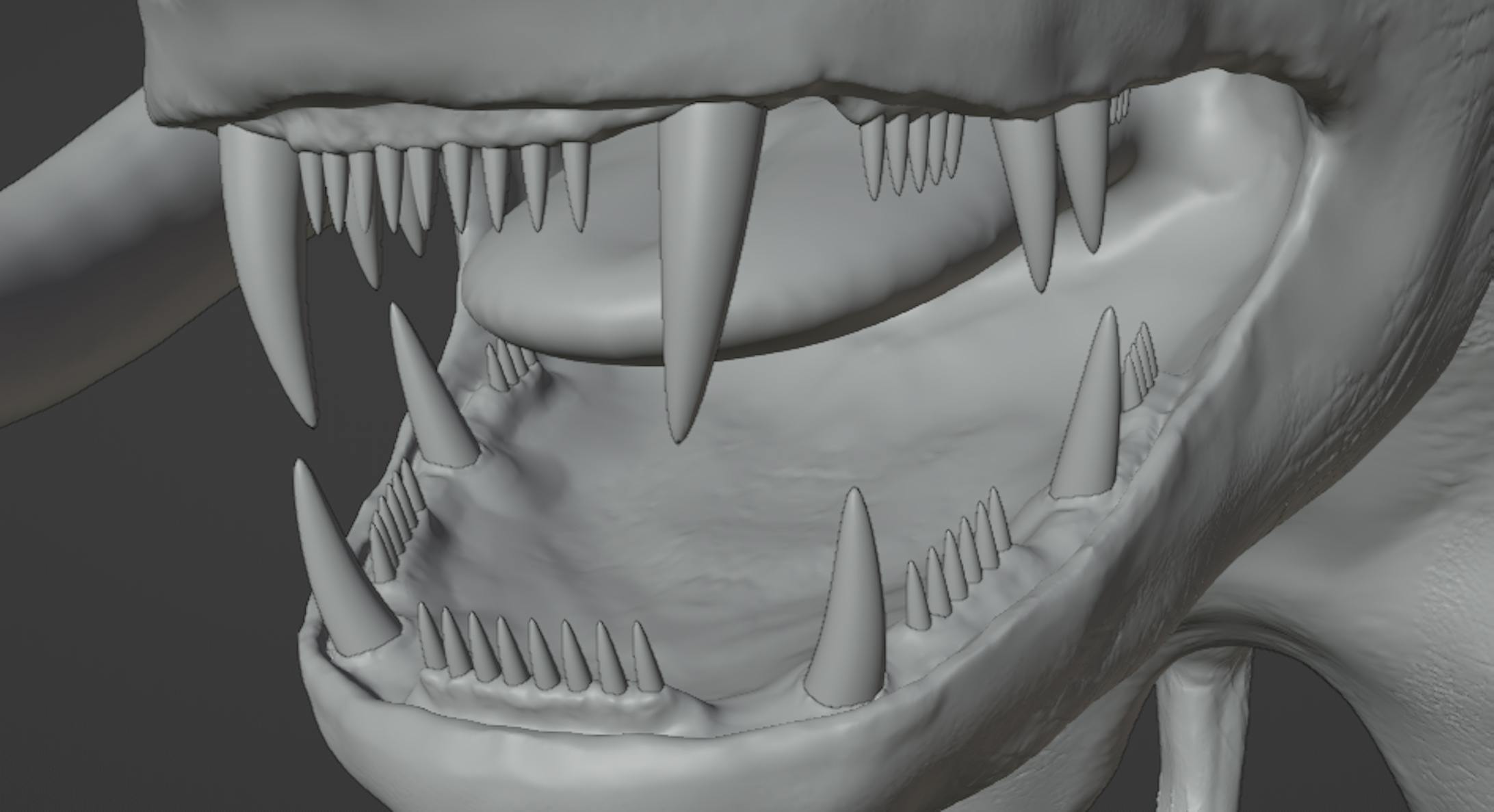 歯茎は牙の位置によって形が変わるのでまず牙の配置から決めました。実際の虎の歯茎や骨格を見ながら作りました。