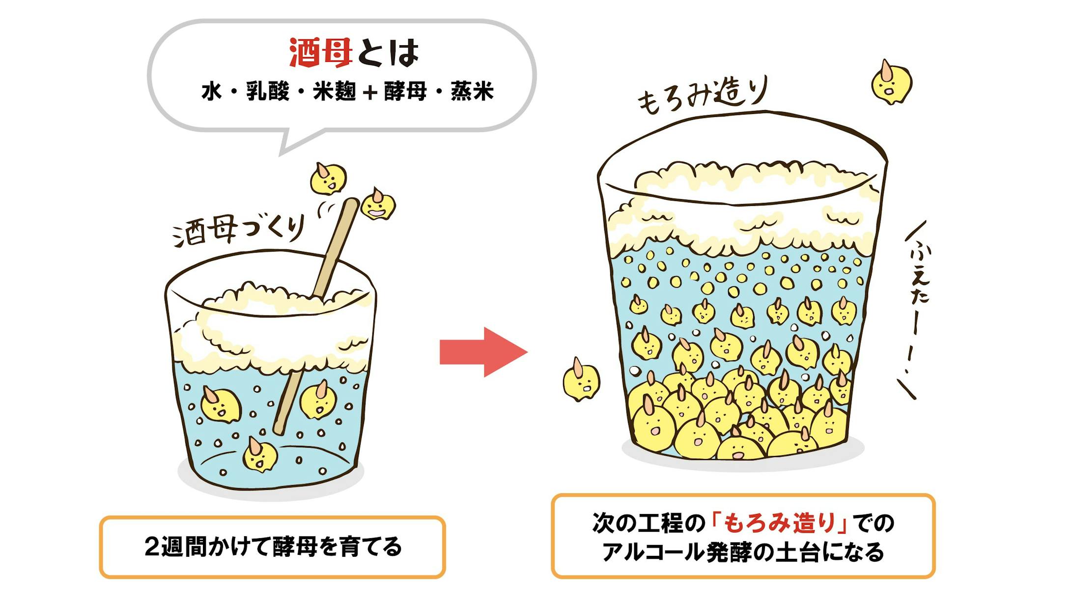 上選択 発酵 イラスト 写真素材 フォトライブラリー